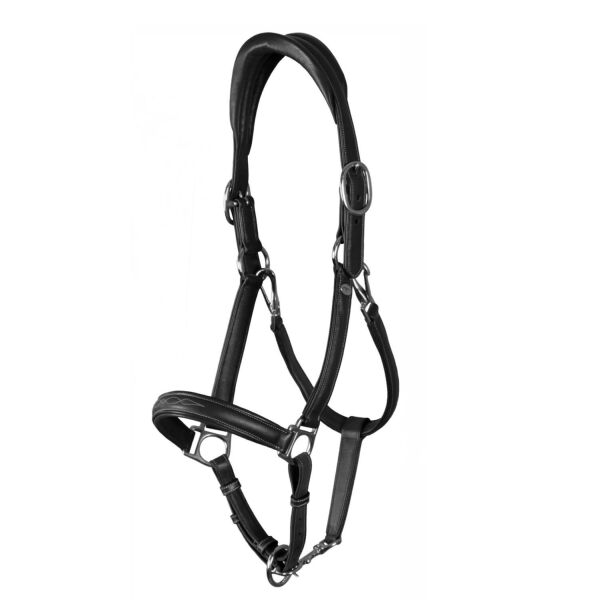 Dyon Workin Collection Soft Leather Head Collar - Sort